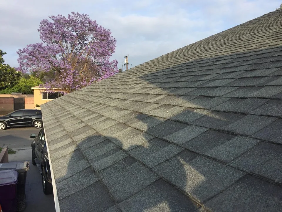 Roof shingle repair and exterior inspection by M.Y. Handyman Services